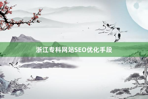 浙江专科网站SEO优化手段